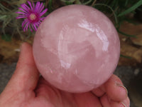 Polished Star Rose Quartz Spheres  x 3 From Madagascar - Toprock Gemstones and Minerals 