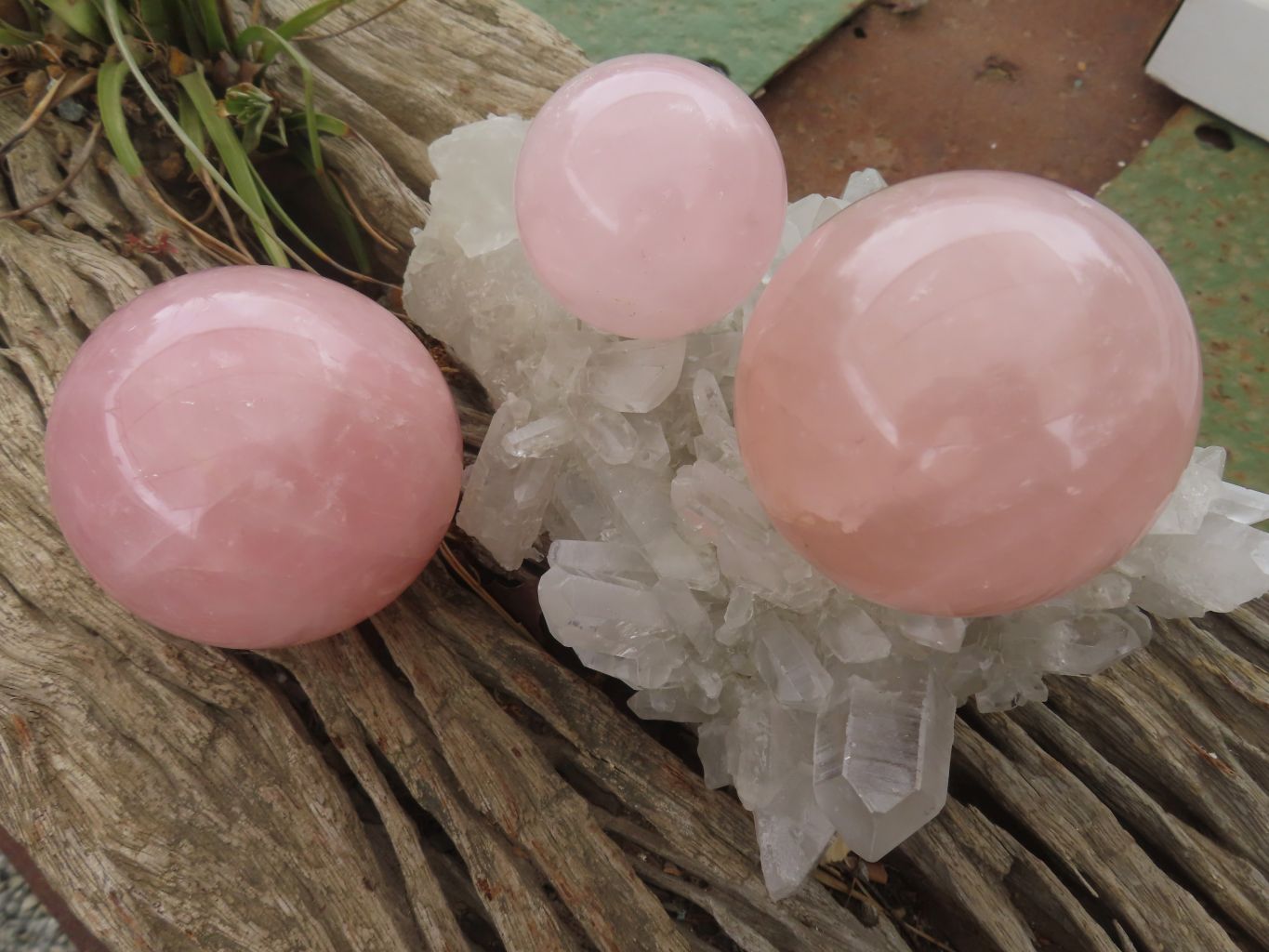 Polished Star Rose Quartz Spheres  x 3 From Madagascar - Toprock Gemstones and Minerals 