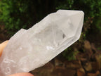 Natural Single Clear Quartz Crystals  x 35 From Mpika, Zambia - Toprock Gemstones and Minerals 