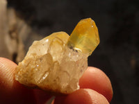 Natural Mini Limonite Quartz Clusters x 52 From Solwezi, Zambia - Toprock Gemstones and Minerals 