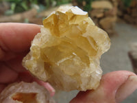 Natural Golden Limonite / Lemonite Quartz Clusters  x 24 From Zambia - Toprock Gemstones and Minerals 