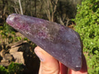 Polished  Purple Lepidolite Free Forms  x 6 From Zimbabwe - Toprock Gemstones and Minerals 