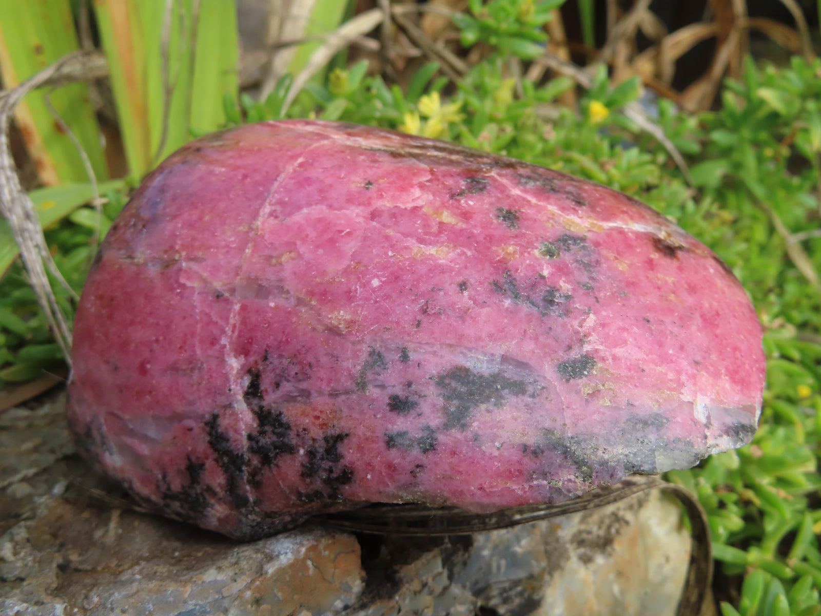 Polished Half Polished Pink & Black Rhodonite Pieces x 4 From Madagascar - TopRock