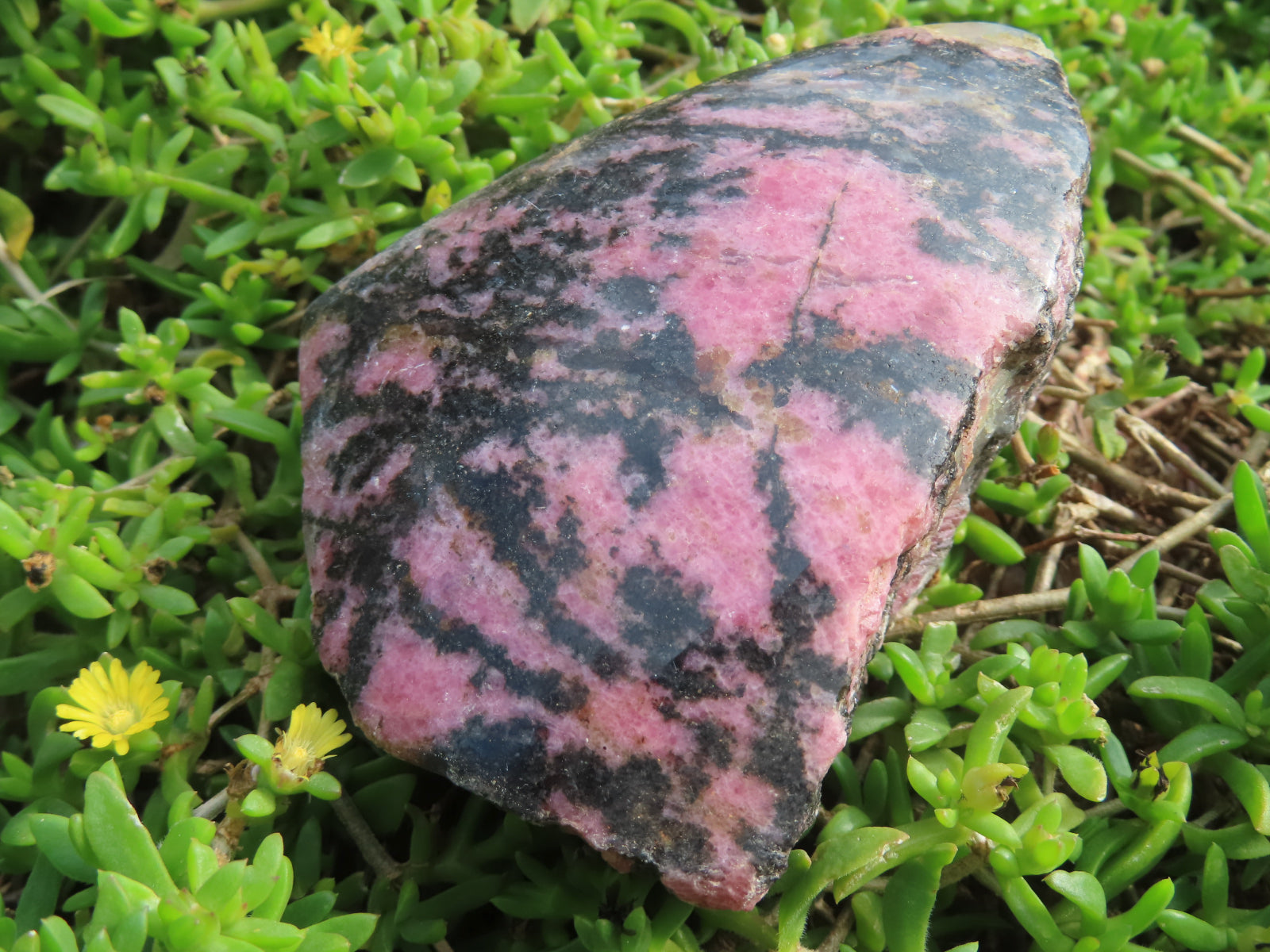 Polished Half Polished Pink & Black Rhodonite Pieces x 4 From Madagascar - TopRock