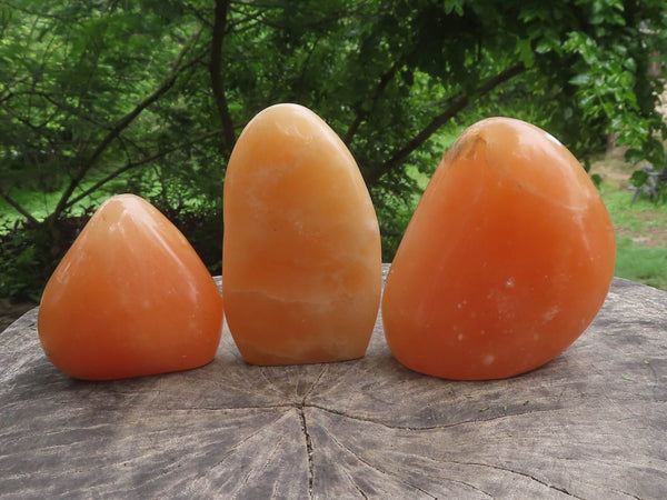 Polished Orange Twist Calcite Standing Free Forms  x 3 From Madagascar - TopRock