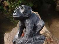 Polished  Black Soap Stone Baboons - Small - Sold per piece - From Zimbabwe - TopRock