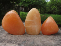 Polished Orange Twist Calcite Standing Free Forms  x 3 From Madagascar - TopRock