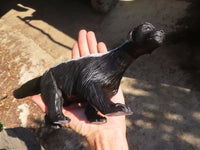 Polished  Large Black Soapstone Honey Badger Carving x 1 From Zimbabwe - Toprock Gemstones and Minerals 