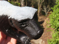 Polished  Large Black Soapstone Honey Badger Carving x 1 From Zimbabwe - Toprock Gemstones and Minerals 