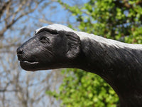 Polished  Large Black Soapstone Honey Badger Carving x 1 From Zimbabwe - Toprock Gemstones and Minerals 