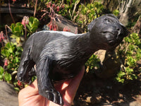 Polished  Large Black Soapstone Honey Badger Carving x 1 From Zimbabwe - Toprock Gemstones and Minerals 