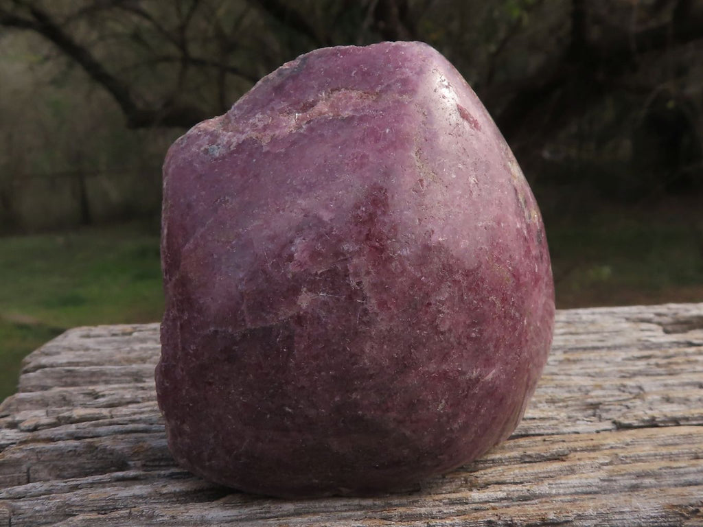 Polished Half Polished Pink & Black Rhodonite Pieces x 4 From Madagascar - TopRock