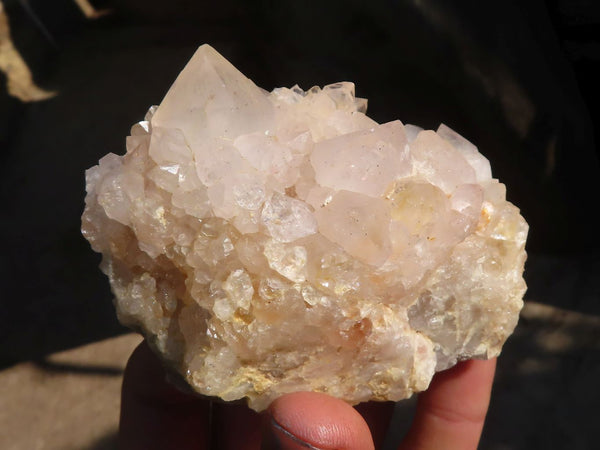 Natural White Cactus Flower Spirit Quartz Specimens x 6 From Boekenhouthoek, South Africa - Toprock Gemstones and Minerals 