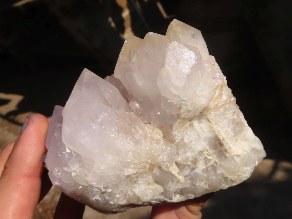 Natural White Cactus Flower Spirit Quartz Specimens x 6 From Boekenhouthoek, South Africa - Toprock Gemstones and Minerals 