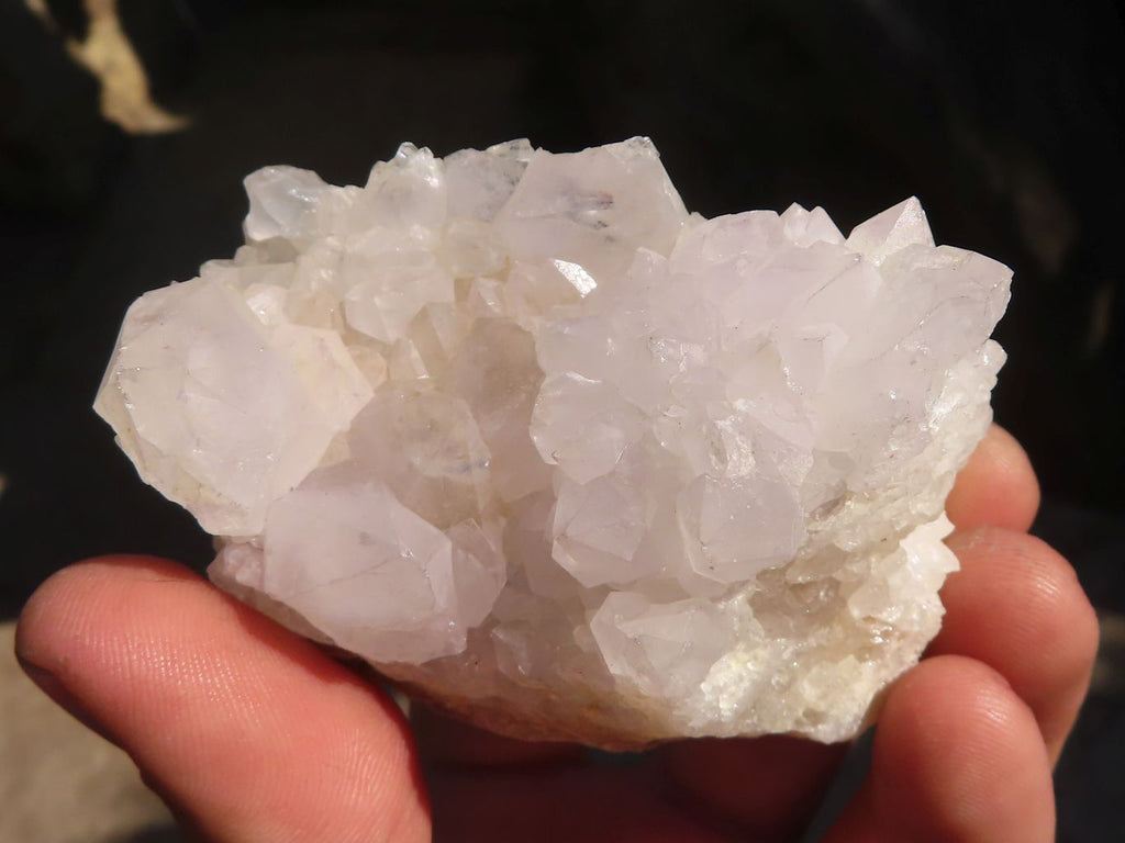 Natural White Cactus Flower Spirit Quartz Specimens x 6 From Boekenhouthoek, South Africa - Toprock Gemstones and Minerals 