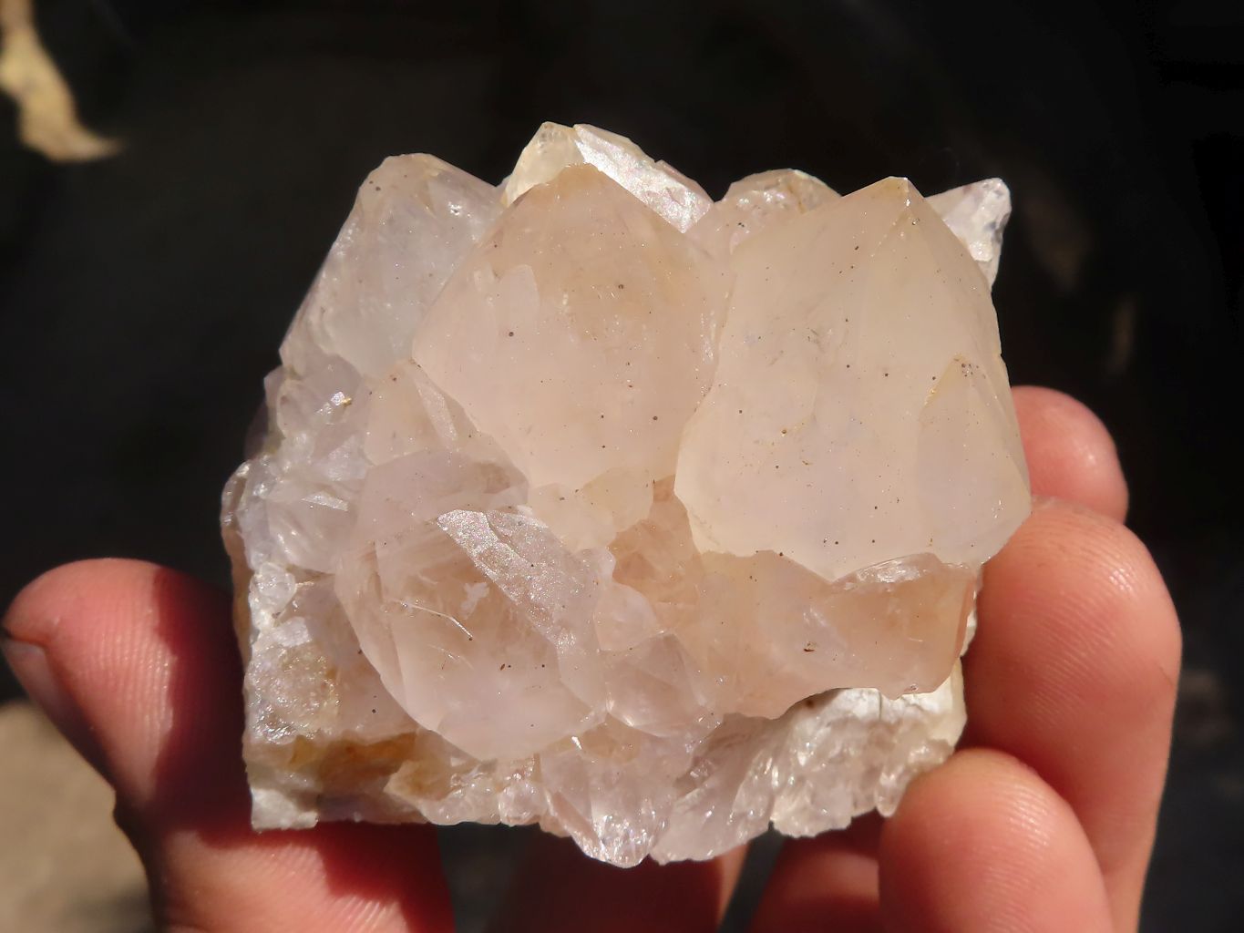 Natural White Cactus Flower Spirit Quartz Specimens x 6 From Boekenhouthoek, South Africa - Toprock Gemstones and Minerals 