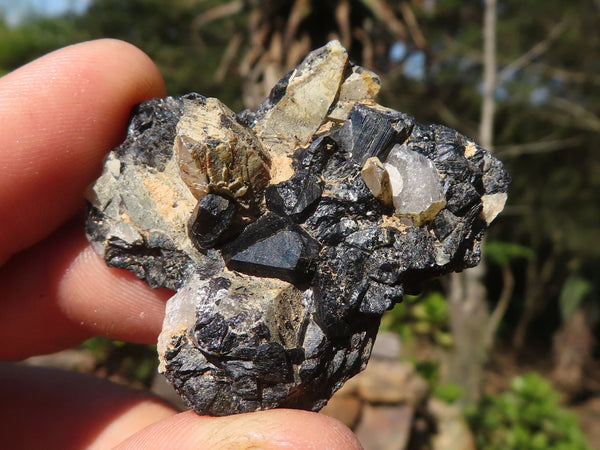 Natural Schorl Black Tourmaline Specimens  x 24 From Namibia - Toprock Gemstones and Minerals 