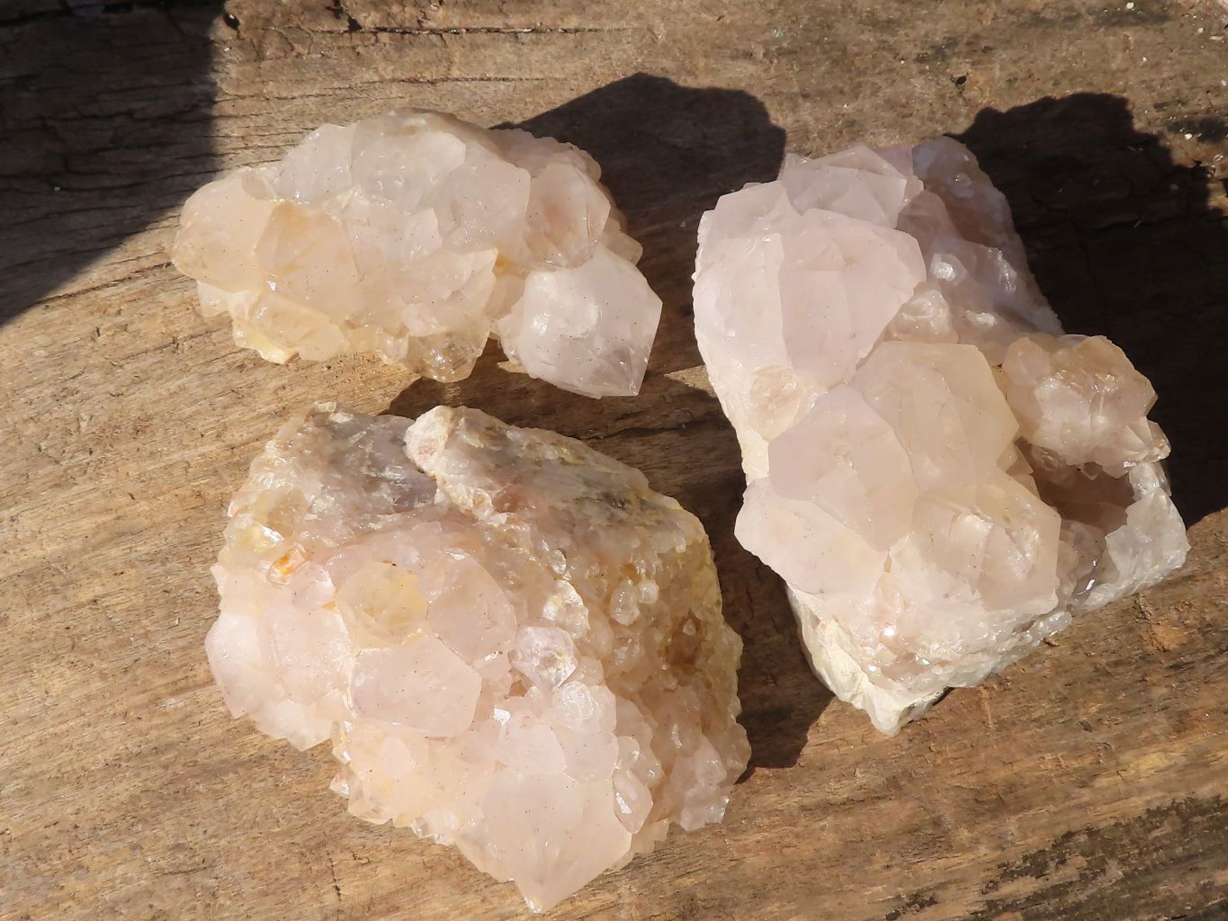 Natural White Cactus Flower Spirit Quartz Specimens x 6 From Boekenhouthoek, South Africa - Toprock Gemstones and Minerals 