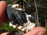 Natural Schorl Black Tourmaline Specimens  x 24 From Namibia - Toprock Gemstones and Minerals 