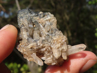Natural Schorl Black Tourmaline Specimens  x 24 From Namibia - Toprock Gemstones and Minerals 