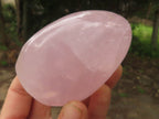 Polished Pink Rose Quartz Standing Free Forms  x 6 From Ambatondrazaka, Madagascar - TopRock