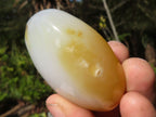 Polished Lovely Banded Agate Palm Stones  x 12 From Madagascar - Toprock Gemstones and Minerals 