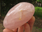 Polished Pink Rose Quartz Standing Free Forms  x 6 From Ambatondrazaka, Madagascar - TopRock