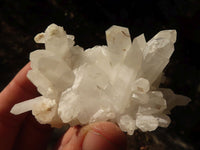 Natural Mixed Quartz Crystal Clusters  x 12 From Madagascar - Toprock Gemstones and Minerals 