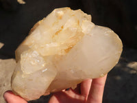 Natural Multi Terminated Floater Quartz Formations  x 3 From Madagascar - Toprock Gemstones and Minerals 