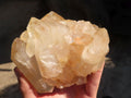 Natural Multi Terminated Floater Quartz Formations  x 3 From Madagascar - Toprock Gemstones and Minerals 
