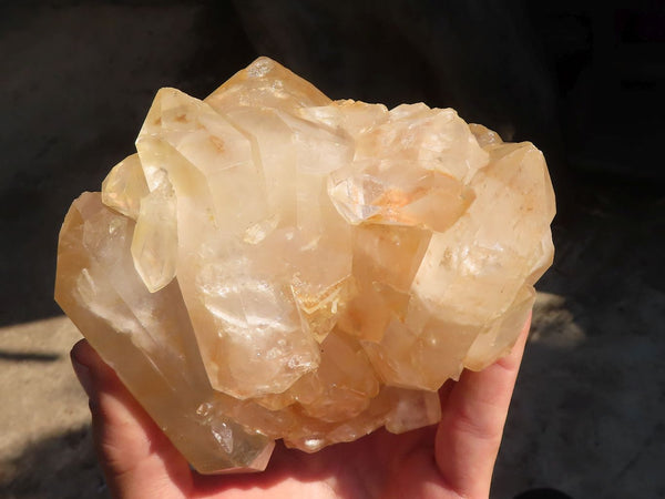 Natural Multi Terminated Floater Quartz Formations  x 3 From Madagascar - Toprock Gemstones and Minerals 