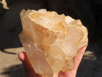 Natural Multi Terminated Floater Quartz Formations  x 3 From Madagascar - Toprock Gemstones and Minerals 