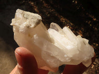Natural Mixed Quartz Crystal Clusters  x 12 From Madagascar - Toprock Gemstones and Minerals 