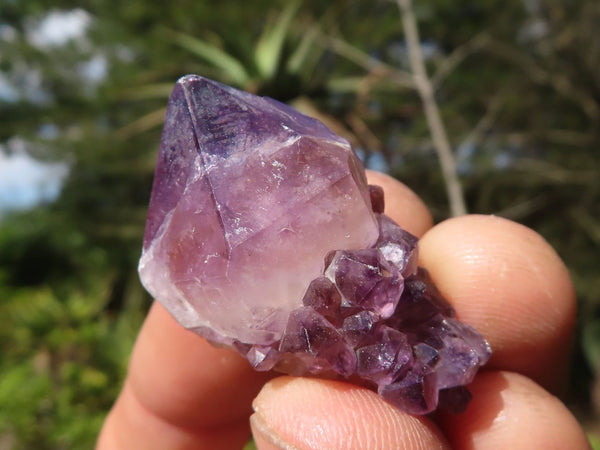 Natural Small Spirit Amethyst Crystals  x 70 From Boekenhouthoek, South Africa - Toprock Gemstones and Minerals 