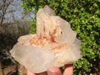 Natural Multi Terminated Floater Quartz Formations  x 3 From Madagascar - Toprock Gemstones and Minerals 