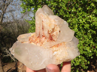 Natural Multi Terminated Floater Quartz Formations  x 3 From Madagascar - Toprock Gemstones and Minerals 