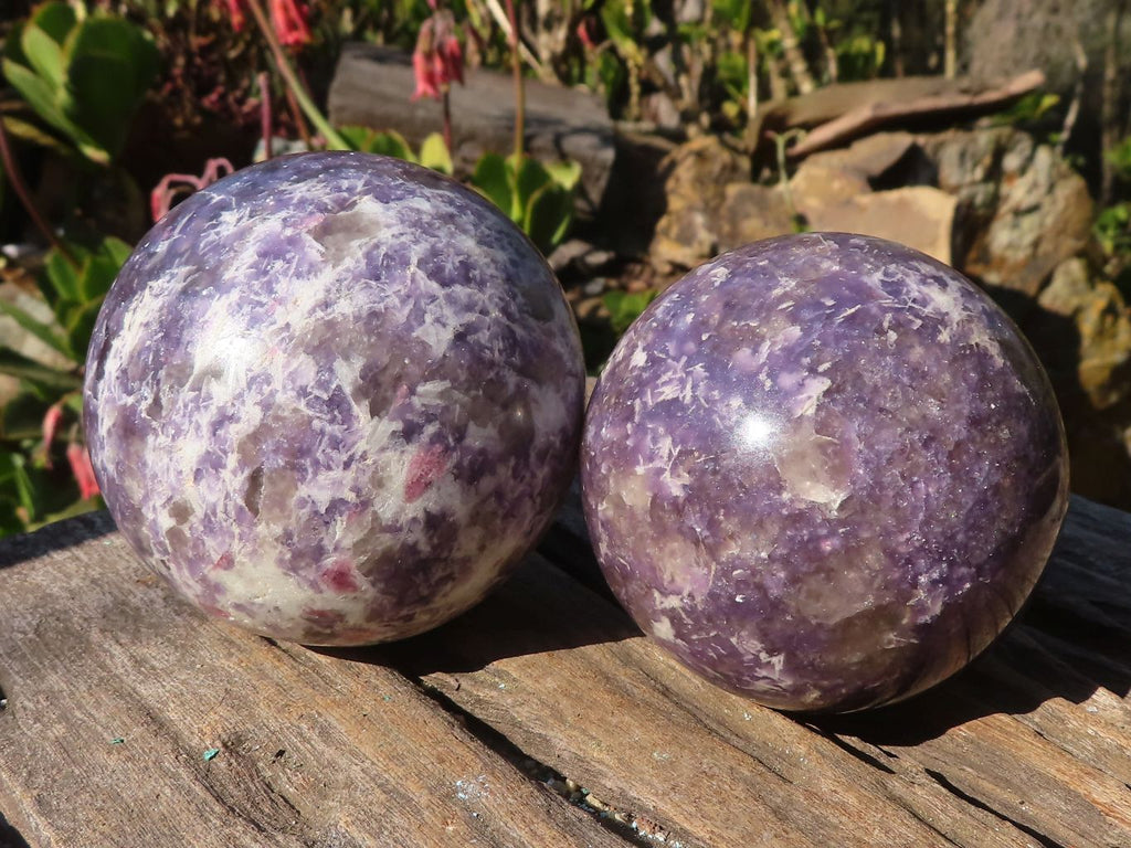 Polished  Purple Lepidolite Spheres With Pink Tourmaline On Some  x 3 From Madagascar - Toprock Gemstones and Minerals 
