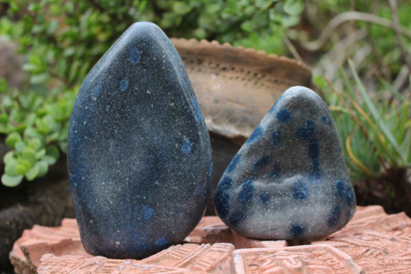 Polished Blue Spotted Spinel / Dalmatian Stone Standing Free Forms  x 2 From Madagascar - TopRock
