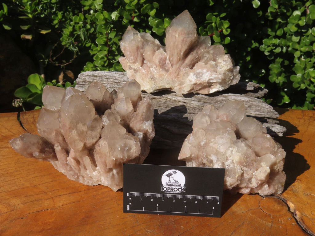 Natural White Phantom Cascading Quartz Specimen  x 3 From Lwena, Congo - TopRock
