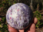Polished  Purple Lepidolite Spheres With Pink Tourmaline On Some  x 3 From Madagascar - Toprock Gemstones and Minerals 