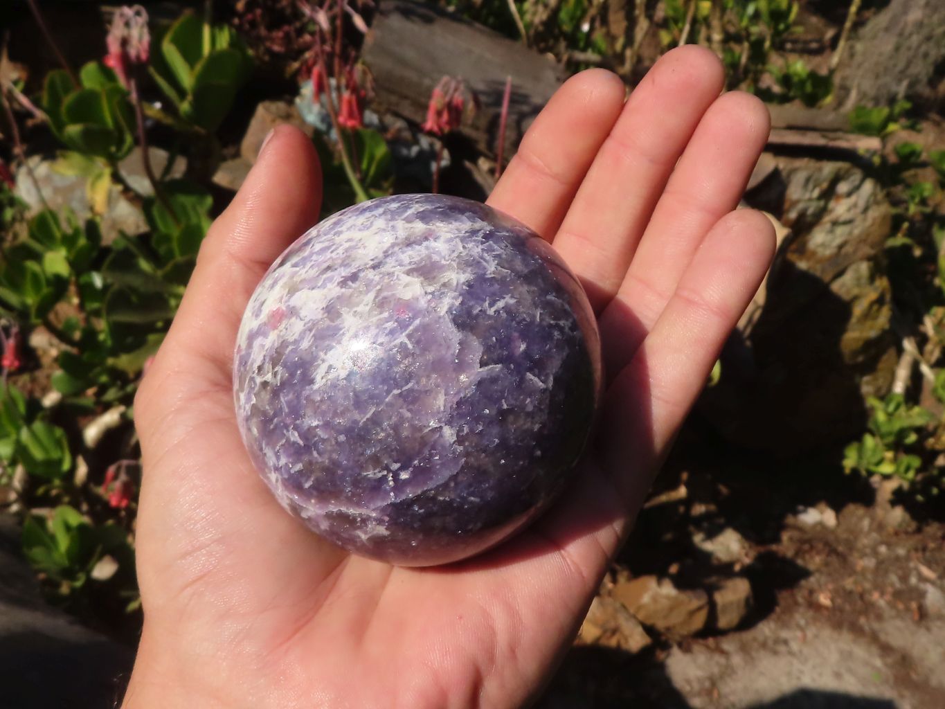 Polished  Purple Lepidolite Spheres With Pink Tourmaline On Some  x 3 From Madagascar - Toprock Gemstones and Minerals 
