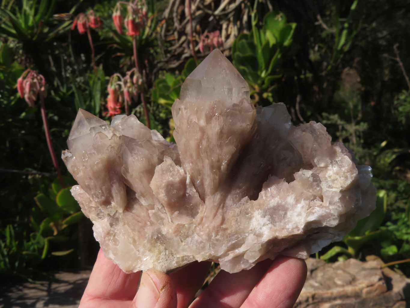 Natural White Phantom Cascading Quartz Specimen  x 3 From Lwena, Congo - TopRock
