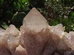 Natural White Phantom Cascading Quartz Specimen  x 3 From Lwena, Congo - TopRock
