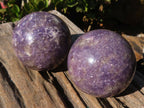 Polished  Purple Lepidolite Spheres With Pink Tourmaline On Some  x 3 From Madagascar - Toprock Gemstones and Minerals 