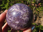 Polished  Purple Lepidolite Spheres With Pink Tourmaline On Some  x 3 From Madagascar - Toprock Gemstones and Minerals 