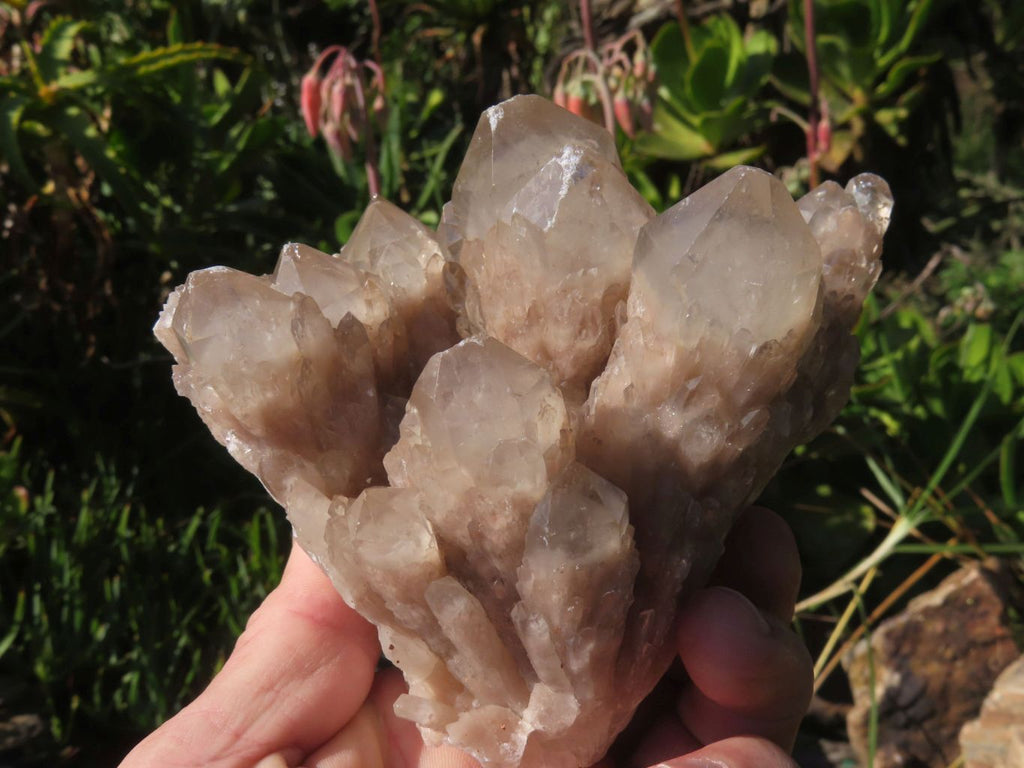 Natural White Phantom Cascading Quartz Specimen  x 3 From Lwena, Congo - TopRock