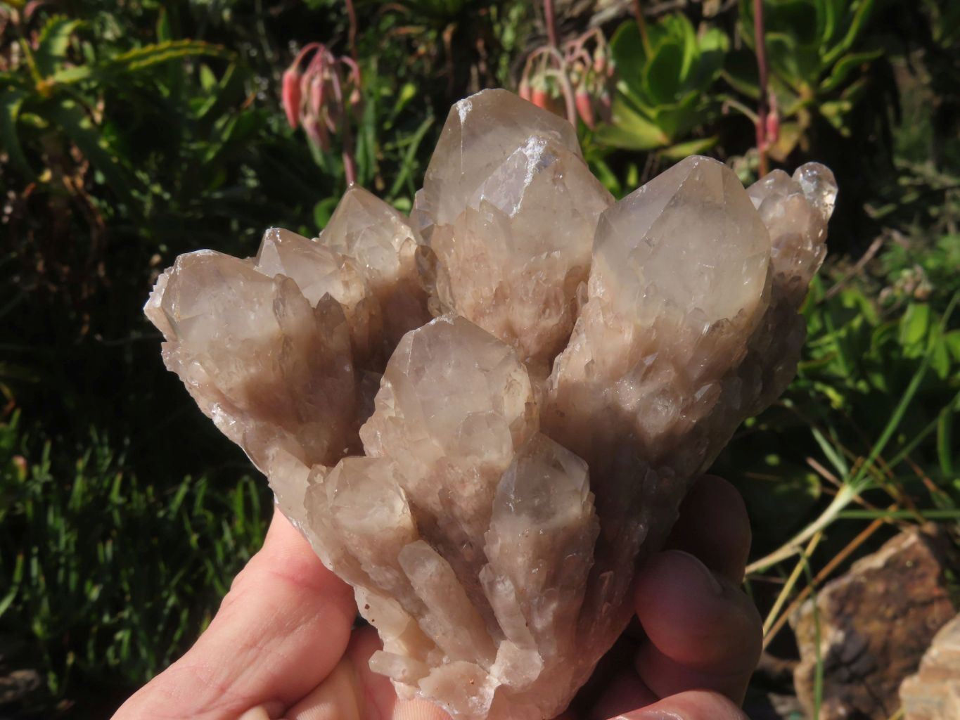 Natural White Phantom Cascading Quartz Specimen  x 3 From Lwena, Congo - TopRock