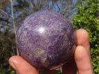 Polished  Purple Lepidolite Spheres With Pink Tourmaline On Some  x 3 From Madagascar - Toprock Gemstones and Minerals 