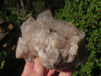 Natural White Phantom Cascading Quartz Specimen  x 3 From Lwena, Congo - TopRock