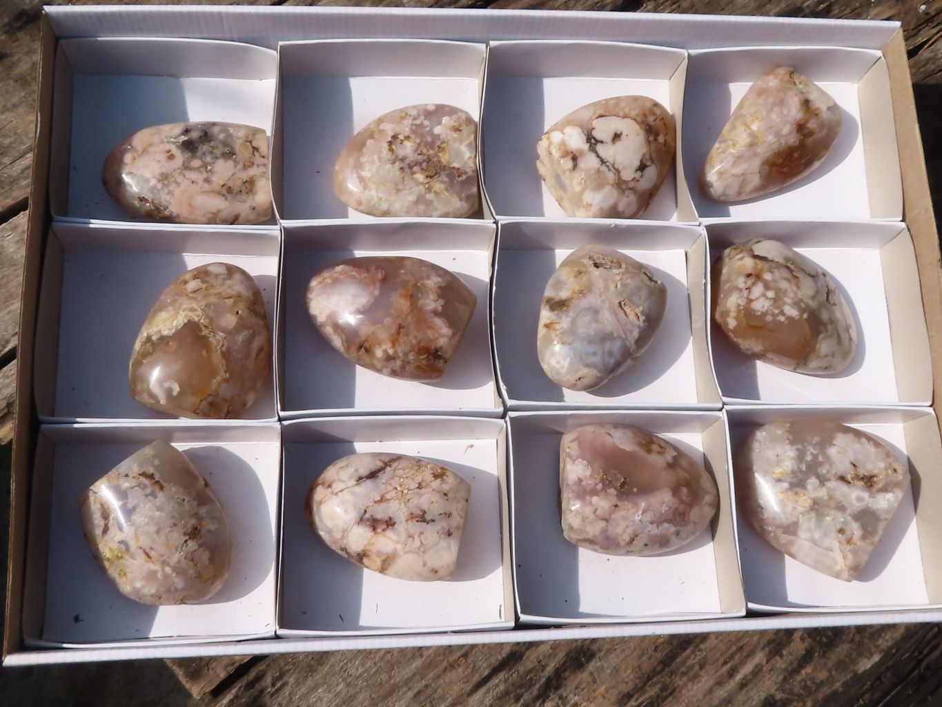 Polished Stunning Coral Flower Agate Standing Free Forms  x 12 From Madagascar - TopRock